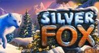 Silver Fox