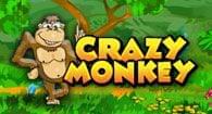 Crazy Monkey